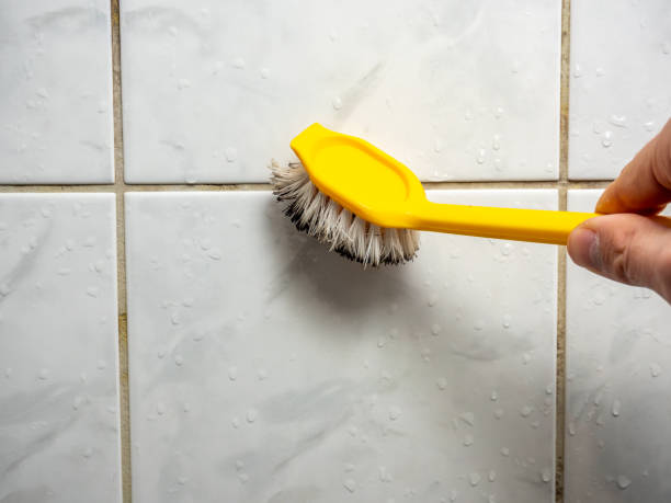 Best Best Mold Removal Companies  in Mckeesport, PA