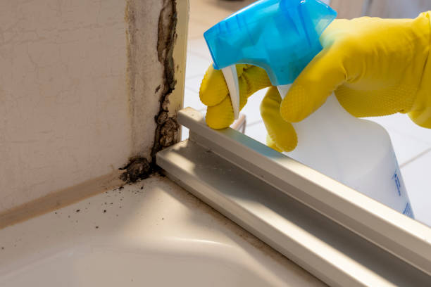 Best Crawl Space Mold Removal  in Mckeesport, PA