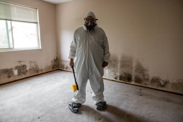 Best Residential Mold Removal  in Mckeesport, PA